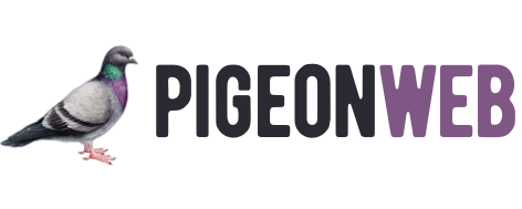 Pigeon Web